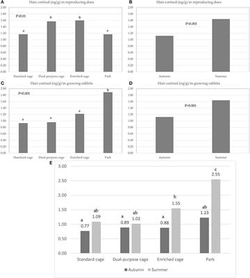 A pilot study about on-farm assessment of health and welfare in rabbits kept in different housing systems